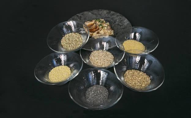 Que nos aportan los cereales a nuestro cuerpo